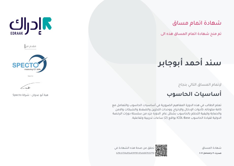 ICDL Professional Certification